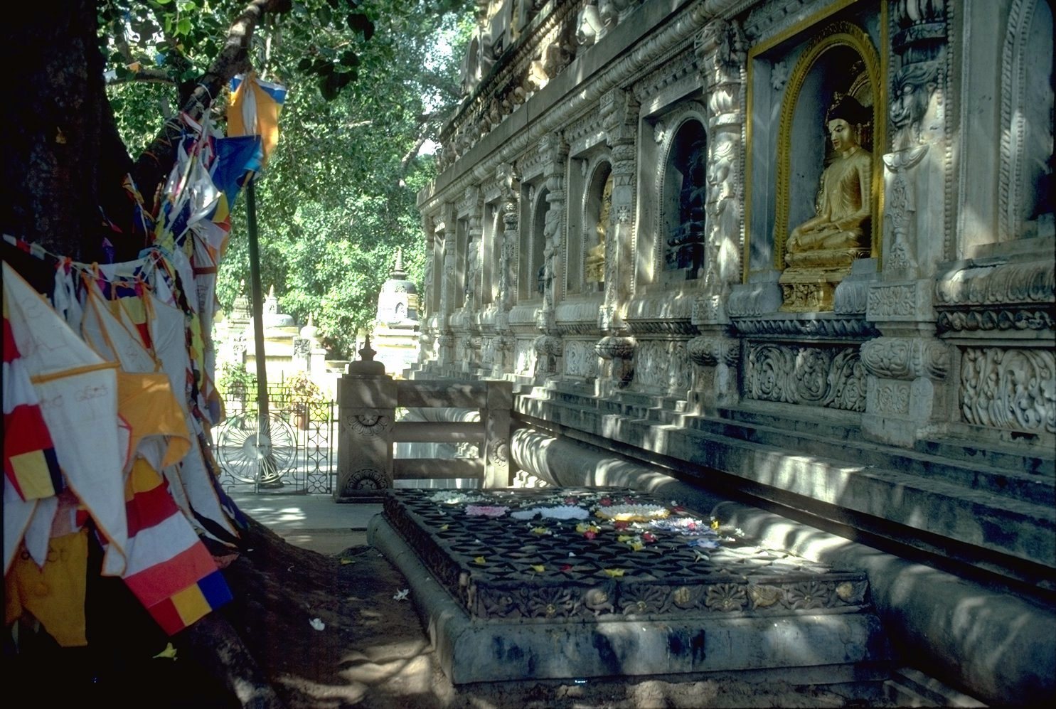 asana