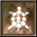 Turtle emblem